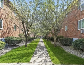 40 Bryon Rd, Boston, Massachusetts, 1 Bedroom Bedrooms, 3 Rooms Rooms,1 BathroomBathrooms,Residential Lease,For Rent,Bryon Rd,73547883