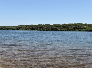78 Jasper Rd, Barnstable, Massachusetts, 3 Bedrooms Bedrooms, 5 Rooms Rooms,1.5 BathroomsBathrooms,Residential,For Sale,Jasper Rd,73547842