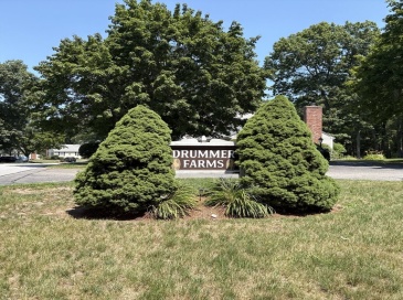 93 Drummer Road, Acton, Massachusetts, 2 Bedrooms Bedrooms, 6 Rooms Rooms,1.5 BathroomsBathrooms,Residential Lease,For Rent,Drummer Road,73547708