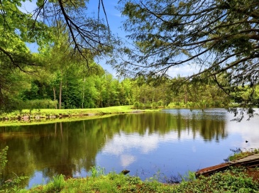 54 Papoose Lake Dr, Heath, Massachusetts, ,Land,For Sale,Papoose Lake Dr,73527245 54 Papoose Lake Dr, Heath, Massachusetts, ,Land,For Sale,Papoose Lake Dr,73527245