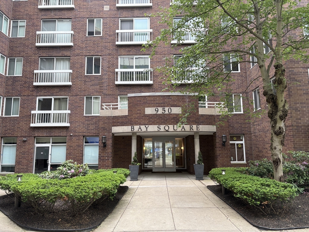 950 Massachusetts Ave, Cambridge, Massachusetts, 2 Bedrooms Bedrooms, 3 Rooms Rooms,1.5 BathroomsBathrooms,Residential Lease,For Rent,Massachusetts Ave,73541642