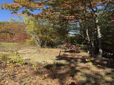 Lot 2 Birch St, Leominster, Massachusetts, ,Land,For Sale,Birch St,73527052
