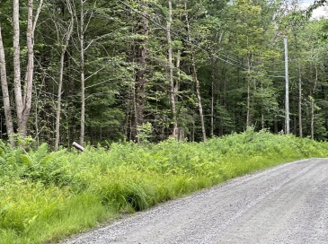 Lot 19 Becket Rd, Middlefield, Massachusetts, ,Land,For Sale,Becket Rd,73548367 Lot 19 Becket Rd, Middlefield, Massachusetts, ,Land,For Sale,Becket Rd,73548367