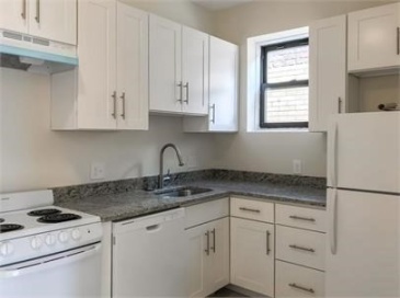395 Harvard St, Brookline, Massachusetts, 1 Bedroom Bedrooms, 2 Rooms Rooms,1 BathroomBathrooms,Residential Lease,For Rent,Harvard St,73548579