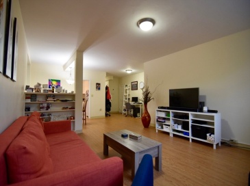 49 Green, Brookline, Massachusetts, 1 Bedroom Bedrooms, 2 Rooms Rooms,1 BathroomBathrooms,Residential Lease,For Rent,Green,73548793