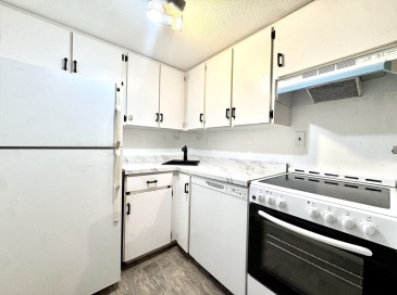 57 A Saint Paul St, Brookline, Massachusetts, 1 Bedroom Bedrooms, 3 Rooms Rooms,1 BathroomBathrooms,Residential Lease,For Rent,Saint Paul St,73550833 57 A Saint Paul St, Brookline, Massachusetts, 1 Bedroom Bedrooms, 3 Rooms Rooms,1 BathroomBathrooms,Residential Lease,For Rent,Saint Paul St,73550833