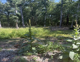 715 Washington St, Pembroke, Massachusetts, ,Land,For Sale,Washington St,73550964