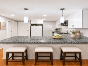 121 Tremont St, Boston, Massachusetts, 1 Bedroom Bedrooms, 2 Rooms Rooms,1 BathroomBathrooms,Residential Lease,For Rent,Tremont St,73551022