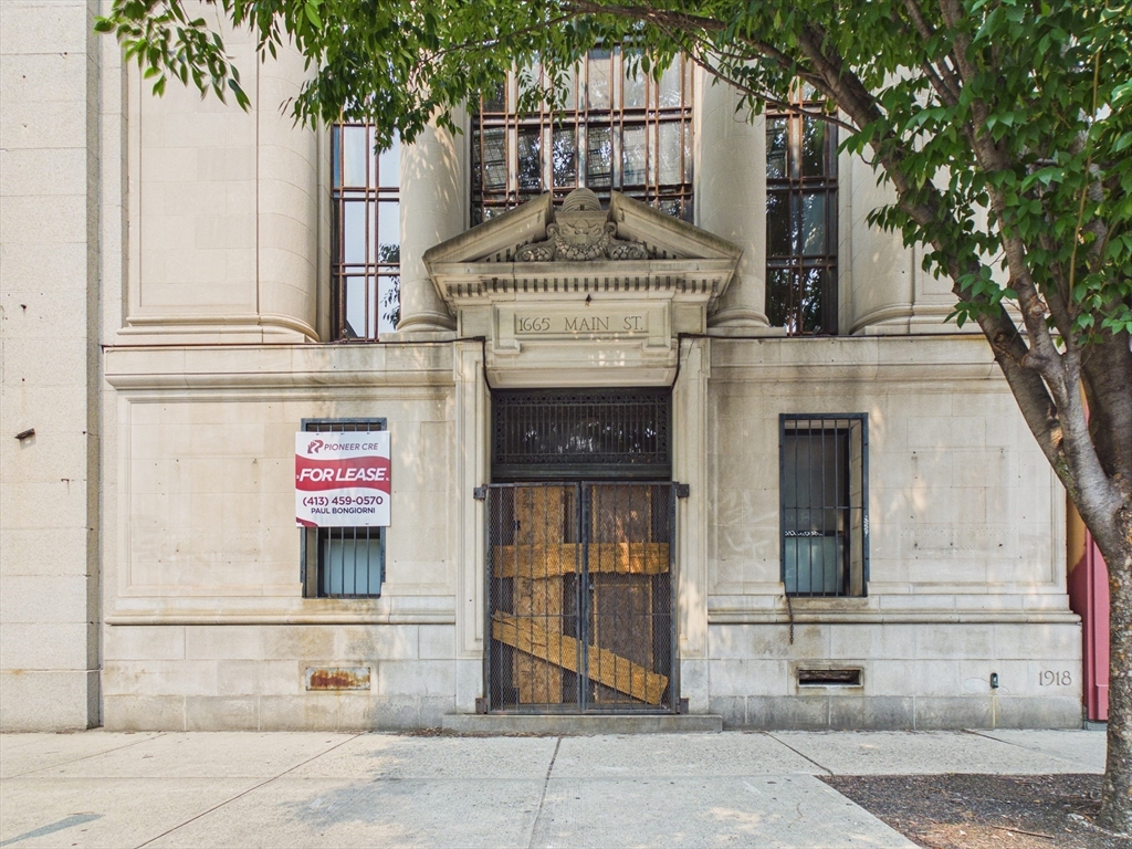 1665 Main St, Springfield, Massachusetts, ,Commercial Lease,For Rent,Main St,73551034