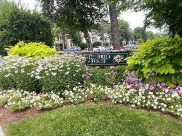 13 Walden Dr, Natick, Massachusetts, 2 Bedrooms Bedrooms, 5 Rooms Rooms,2 BathroomsBathrooms,Residential,For Sale,Walden Dr,73551305 13 Walden Dr, Natick, Massachusetts, 2 Bedrooms Bedrooms, 5 Rooms Rooms,2 BathroomsBathrooms,Residential,For Sale,Walden Dr,73551305