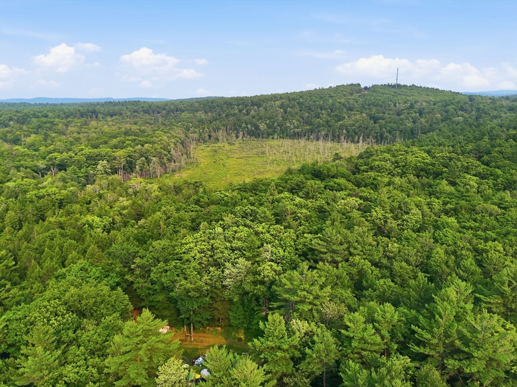 3.3 Gibbs Rd, Blandford, Massachusetts, ,Land,For Sale,Gibbs Rd,73548184