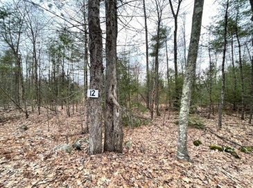 12-L New Athol Rd, Petersham, Massachusetts, ,Land,For Sale,New Athol Rd,73494375 12-L New Athol Rd, Petersham, Massachusetts, ,Land,For Sale,New Athol Rd,73494375