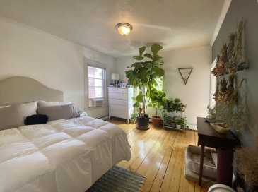496 Sumner Street, Boston, Massachusetts, 2 Bedrooms Bedrooms, 3 Rooms Rooms,1 BathroomBathrooms,Residential Lease,For Rent,Sumner Street,73534676