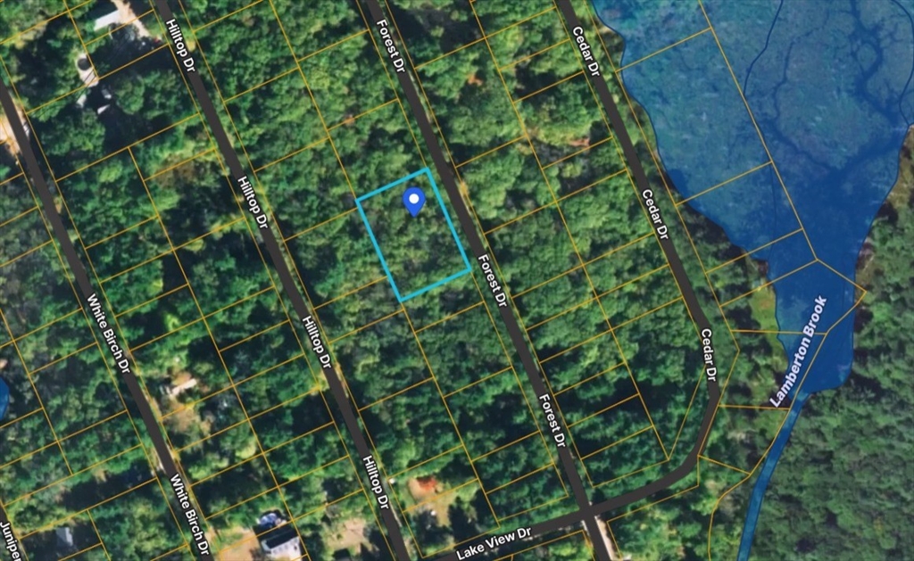 26 Forest Dr, West Brookfield, Massachusetts, ,Land,For Sale,Forest Dr,73551616
