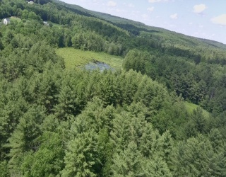 Land