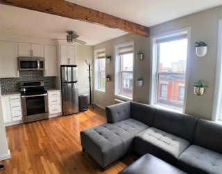 57 West Cedar, Boston, Massachusetts, 1 Bedroom Bedrooms, 3 Rooms Rooms,1 BathroomBathrooms,Residential Lease,For Rent,West Cedar,73552169