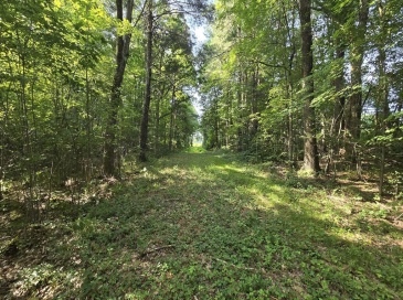 360 Grove St, Paxton, Massachusetts, ,Land,For Sale,Grove St,73552219 360 Grove St, Paxton, Massachusetts, ,Land,For Sale,Grove St,73552219