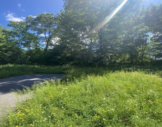 Lt 27b1a b Pennie Lane, Stow, Massachusetts, ,Land,For Sale,Pennie Lane,73552391