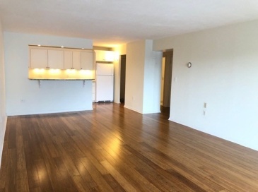 151 Coolidge Ave, Watertown, Massachusetts, 1 Bedroom Bedrooms, 3 Rooms Rooms,1 BathroomBathrooms,Residential Lease,For Rent,Coolidge Ave,73552425