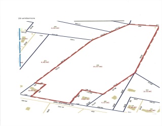 29 Whittemore Rd, Sturbridge, Massachusetts, ,Land,For Sale,Whittemore Rd,73552510