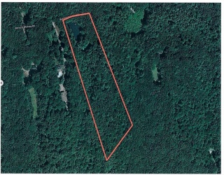 Lot 19 Bernard Whitney Rd, New Braintree, Massachusetts, ,Land,For Sale,Bernard Whitney Rd,73552715