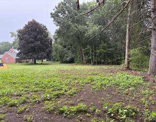 Land