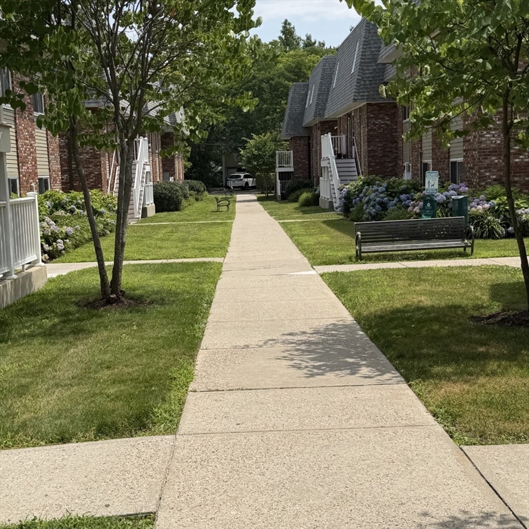 237 Garden St, Cambridge, Massachusetts, 1 Bedroom Bedrooms, 2 Rooms Rooms,1 BathroomBathrooms,Residential Lease,For Rent,Garden St,73552848