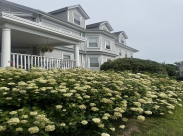 9 Evans, Marblehead, Massachusetts, 3 Bedrooms Bedrooms, 5 Rooms Rooms,1 BathroomBathrooms,Residential Lease,For Rent,Evans,73553392