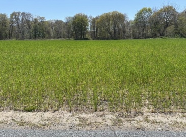 205R Providence St. Bldr. Lot 4, Rehoboth, Massachusetts, ,Land,For Sale,Providence St. Bldr. Lot 4,73513433