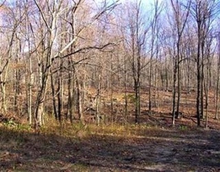 480 Mountain Road, Wilbraham, Massachusetts, ,Land,For Sale,Mountain Road,73553809