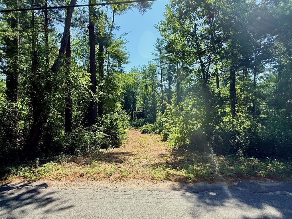 19 Quanapoag Rd, Freetown, Massachusetts, ,Land,For Sale,Quanapoag Rd,73553731