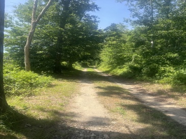 11 Freeman Lane, Bourne, Massachusetts, ,Land,For Sale,Freeman Lane,73554079