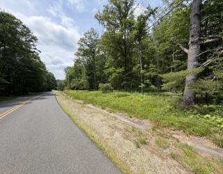 00 Cyrus Stage Rd, Rowe, Massachusetts, ,Land,For Sale,Cyrus Stage Rd,73554511