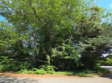 8 Island Rd, Norton, Massachusetts, ,Land,For Sale,Island Rd,73554550