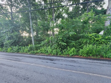 20 Lakeside Ave, Webster, Massachusetts, ,Land,For Sale,Lakeside Ave,73554667