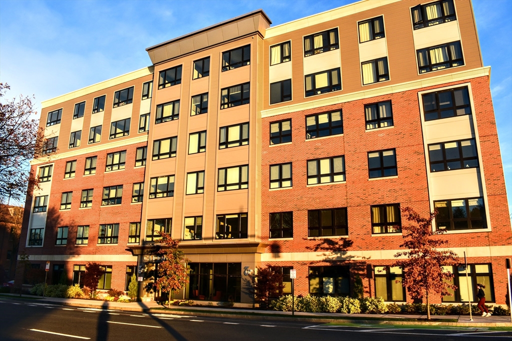 70 Leo M Birmingham, Boston, Massachusetts, 2 Bedrooms Bedrooms, 4 Rooms Rooms,1 BathroomBathrooms,Residential Lease,For Rent,Leo M Birmingham,73526298