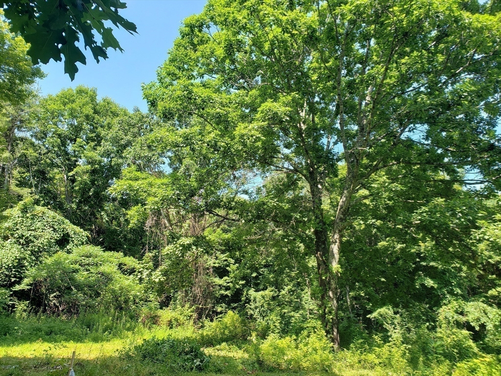 40 Harlow Clark Rd, Huntington, Massachusetts, ,Land,For Sale,Harlow Clark Rd,73554760
