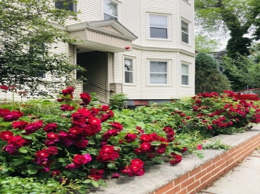 11 Tufts St, Cambridge, Massachusetts, 2 Bedrooms Bedrooms, 7 Rooms Rooms,2 BathroomsBathrooms,Residential Lease,For Rent,Tufts St,73554984 11 Tufts St, Cambridge, Massachusetts, 2 Bedrooms Bedrooms, 7 Rooms Rooms,2 BathroomsBathrooms,Residential Lease,For Rent,Tufts St,73554984