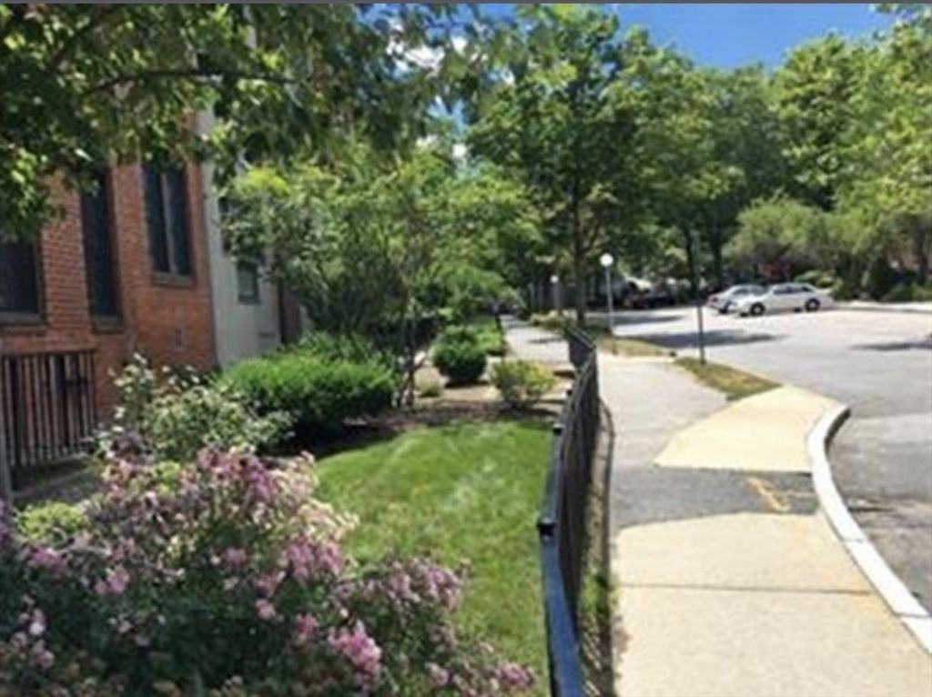 18 Juniper St, Brookline, Massachusetts, 2 Bedrooms Bedrooms, 4 Rooms Rooms,1 BathroomBathrooms,Residential Lease,For Rent,Juniper St,73539214