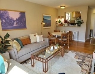34 Babcock St., Brookline, Massachusetts, 2 Bedrooms Bedrooms, 6 Rooms Rooms,2 BathroomsBathrooms,Residential Lease,For Rent,Babcock St.,73555370