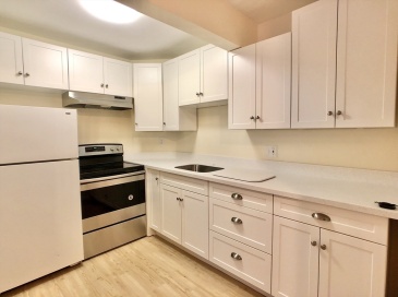 804 Centre St, Boston, Massachusetts, 1 Bedroom Bedrooms, 3 Rooms Rooms,1 BathroomBathrooms,Residential Lease,For Rent,Centre St,73549931