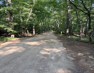 Lot 10A Bush Hill Road, Ashburnham, Massachusetts, ,Land,For Sale,Bush Hill Road,73555719
