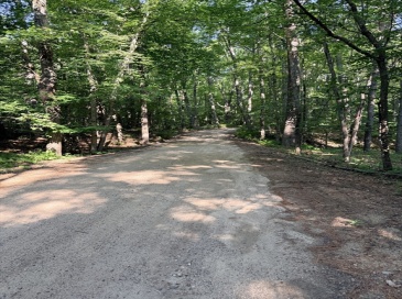 Lot 10A Bush Hill Road, Ashburnham, Massachusetts, ,Land,For Sale,Bush Hill Road,73555719