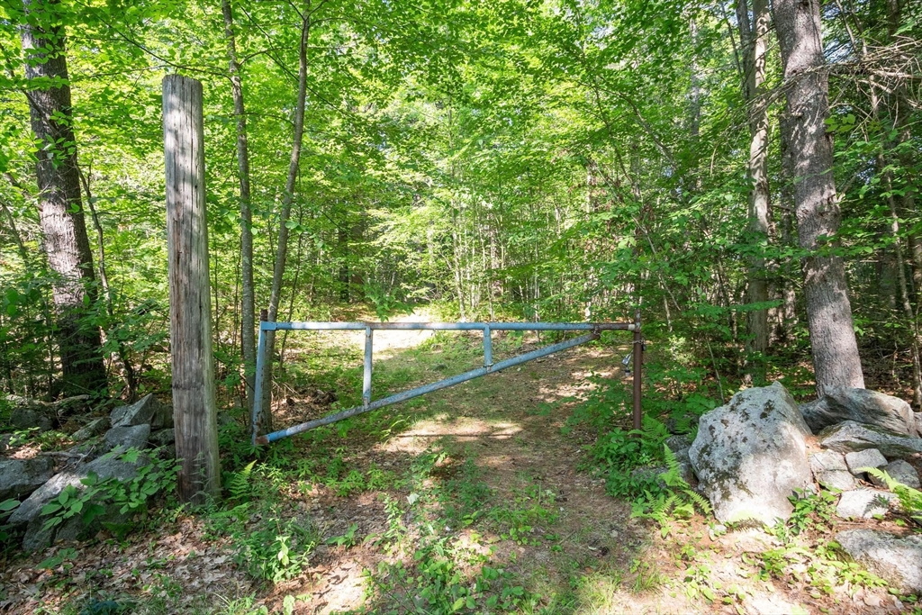 0 Ward Hill Rd, Phillipston, Massachusetts, ,Land,For Sale,Ward Hill Rd,73555421