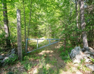 0 Ward Hill Rd, Phillipston, Massachusetts, ,Land,For Sale,Ward Hill Rd,73555421