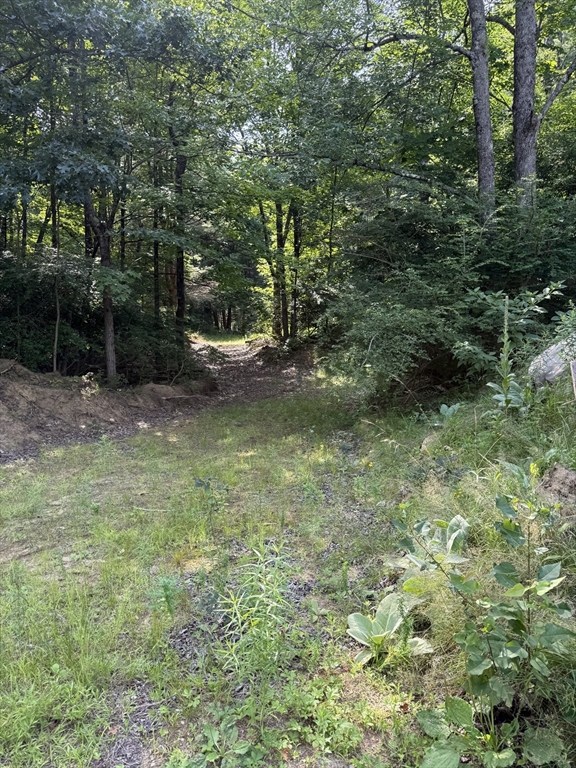 293 Warren Rd, Brimfield, Massachusetts, ,Land,For Sale,Warren Rd,73556096