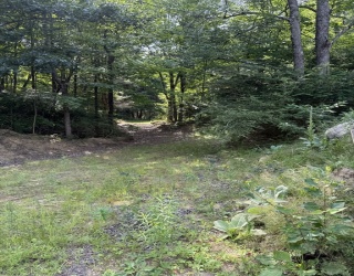 293 Warren Rd, Brimfield, Massachusetts, ,Land,For Sale,Warren Rd,73556096