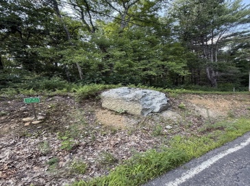 291 Warren Rd, Brimfield, Massachusetts, ,Land,For Sale,Warren Rd,73556099