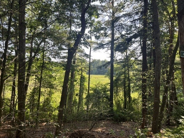 162 Haverhill Rd, Topsfield, Massachusetts, 3 Bedrooms Bedrooms, 6 Rooms Rooms,1.5 BathroomsBathrooms,Residential,For Sale,Haverhill Rd,73556388