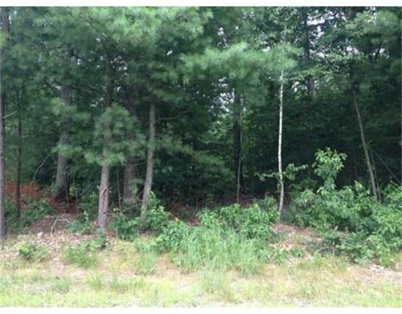 43 Monson Rd, Wales, Massachusetts 01081, ,Land,For Sale,Monson Rd,72772523